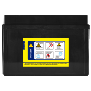 Electronicx AGM Motorcycle Battery 12V 11Ah - Replacement for YTZ12-S, CTZ14-S, ETZ14-S, YTZ14-4 - High Starting Power & Maintenance-Free