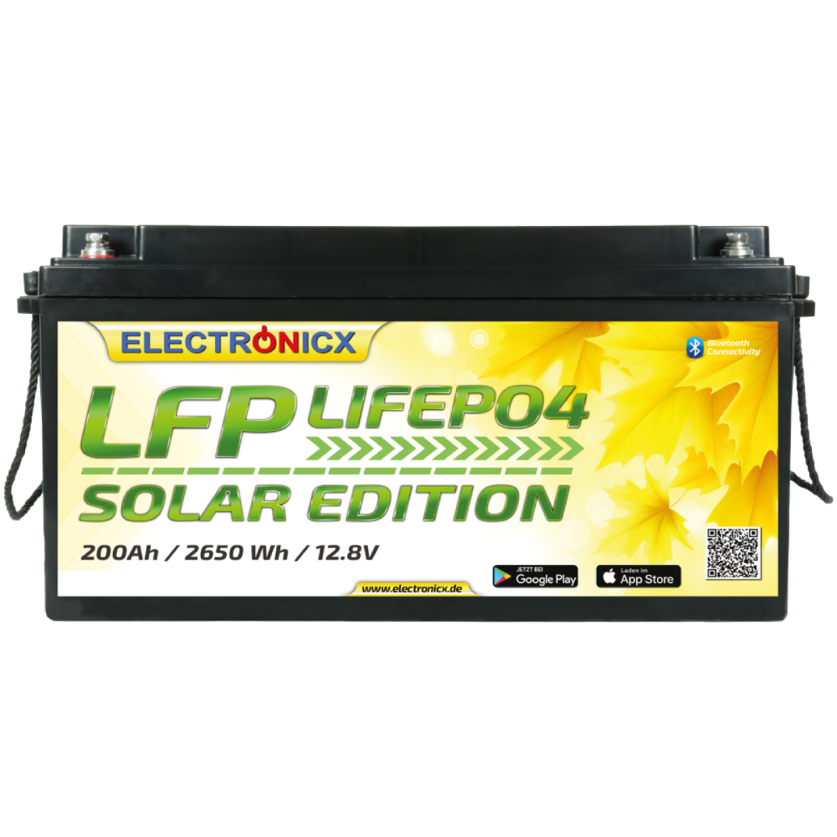 Electronicx Solar Edition LiFePO4 2560Wh 200Ah LFP Bluetooth APP Lithium Iron Phosphate